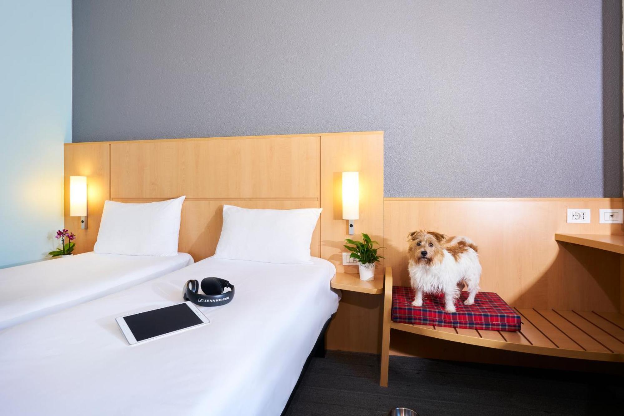Ibis 3*